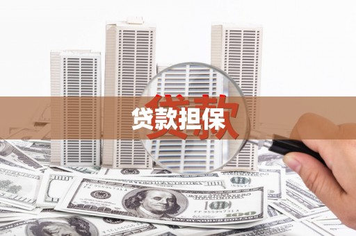 定远贷款担保