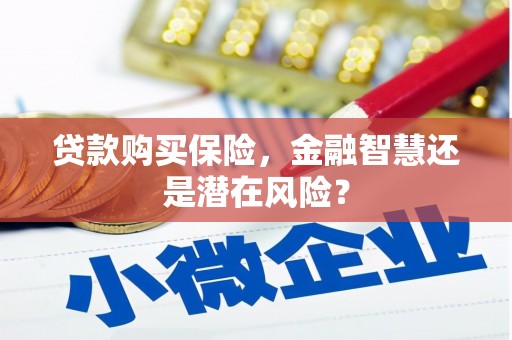 定远贷款购买保险，金融智慧还是潜在风险？