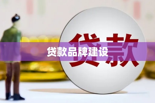 定远贷款品牌建设
