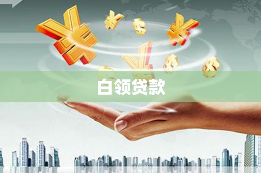 定远白领贷款