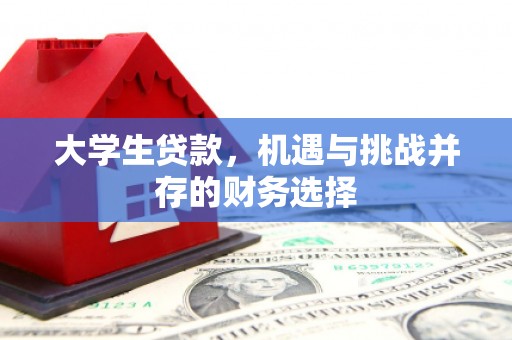 定远大学生贷款，机遇与挑战并存的财务选择