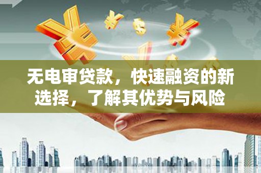 定远无电审贷款，快速融资的新选择，了解其优势与风险
