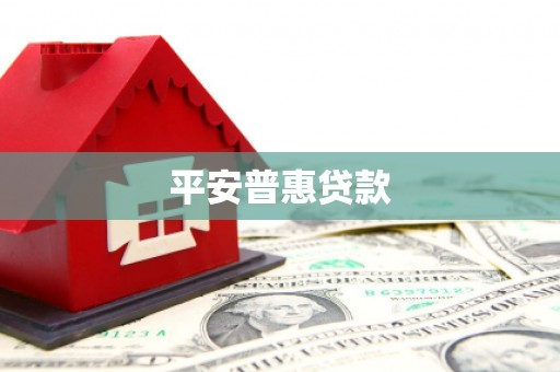 定远平安普惠贷款
