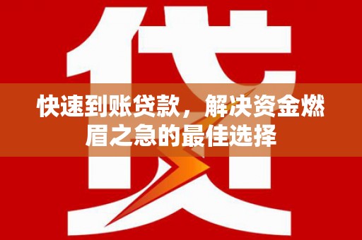 定远快速到账贷款，解决资金燃眉之急的最佳选择
