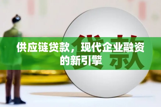 定远供应链贷款，现代企业融资的新引擎