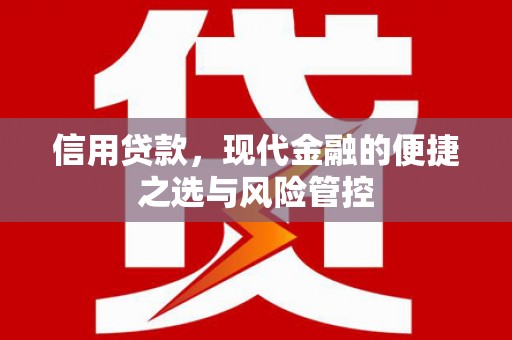 定远信用贷款，现代金融的便捷之选与风险管控