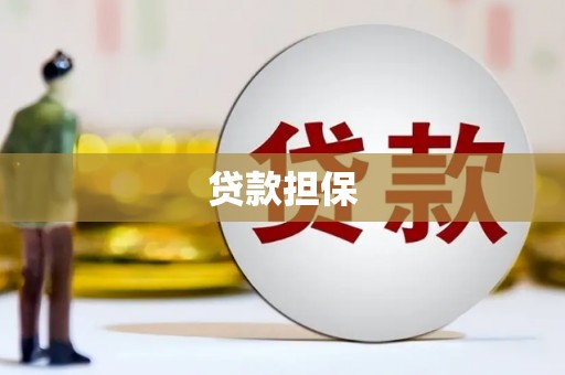 定远贷款担保