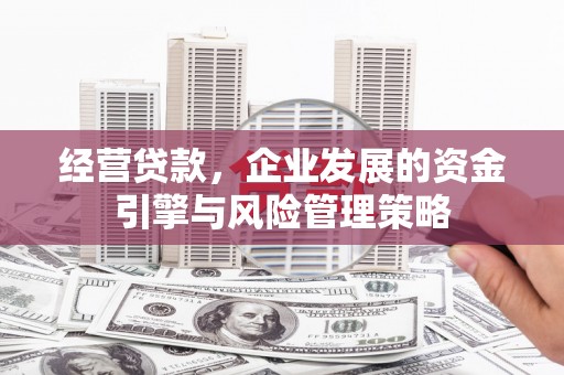 定远经营贷款，企业发展的资金引擎与风险管理策略