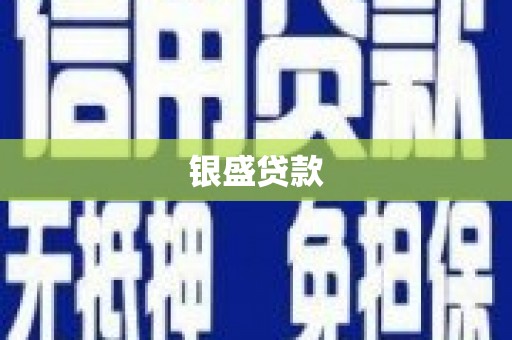 定远银盛贷款