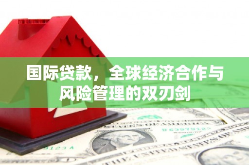 定远国际贷款，全球经济合作与风险管理的双刃剑