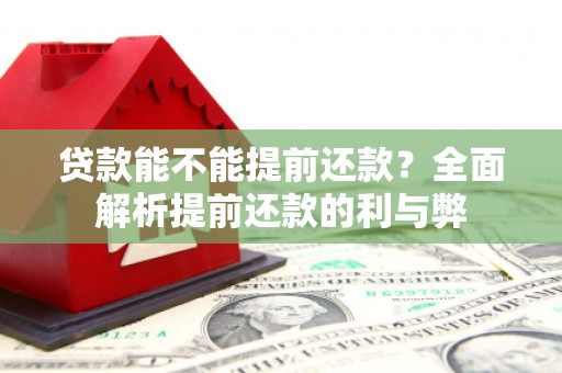 定远贷款能不能提前还款？全面解析提前还款的利与弊