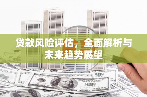 定远贷款风险评估，全面解析与未来趋势展望