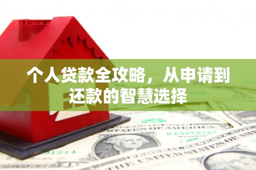 定远个人贷款全攻略，从申请到还款的智慧选择