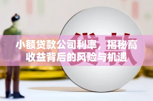 定远小额贷款公司利率，揭秘高收益背后的风险与机遇