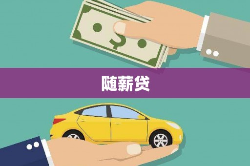 定远随薪贷