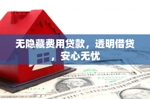 定远无隐藏费用贷款，透明借贷，安心无忧