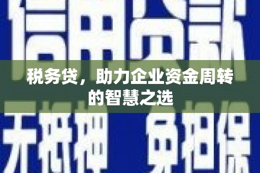 定远税务贷，助力企业资金周转的智慧之选