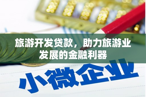定远旅游开发贷款，助力旅游业发展的金融利器