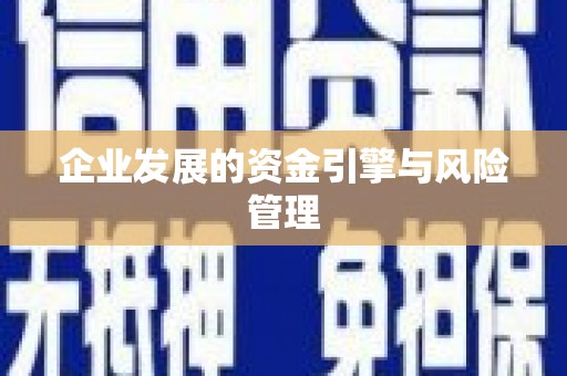 定远企业发展的资金引擎与风险管理