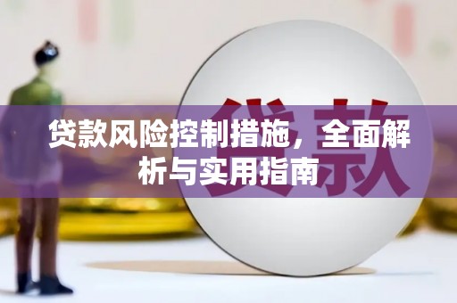 定远贷款风险控制措施，全面解析与实用指南