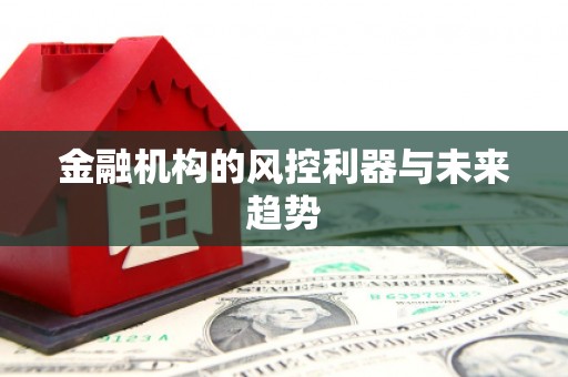 定远金融机构的风控利器与未来趋势