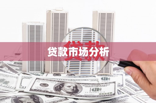 定远贷款市场分析
