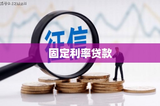 定远固定利率贷款