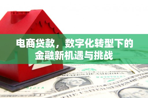 定远电商贷款，数字化转型下的金融新机遇与挑战