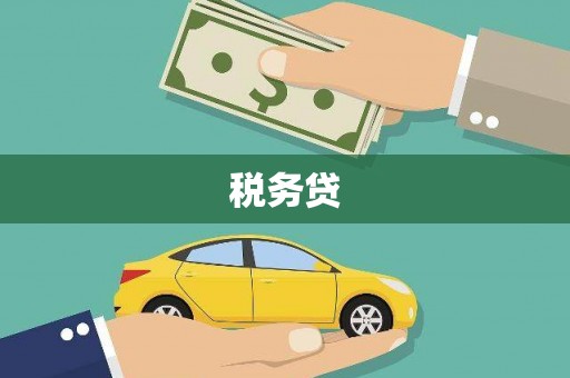 定远税务贷