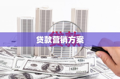 定远贷款营销方案