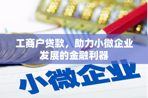 定远工商户贷款，助力小微企业发展的金融利器