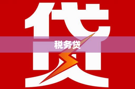定远税务贷
