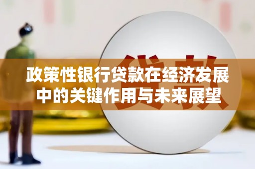 定远政策性银行贷款在经济发展中的关键作用与未来展望
