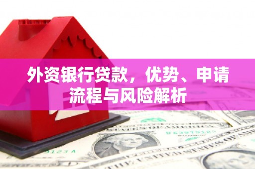 定远外资银行贷款，优势、申请流程与风险解析