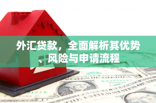 定远外汇贷款，全面解析其优势、风险与申请流程