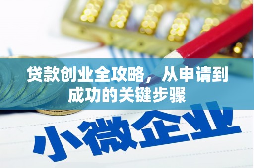 定远贷款创业全攻略，从申请到成功的关键步骤