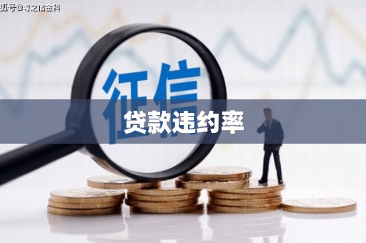 定远贷款违约率
