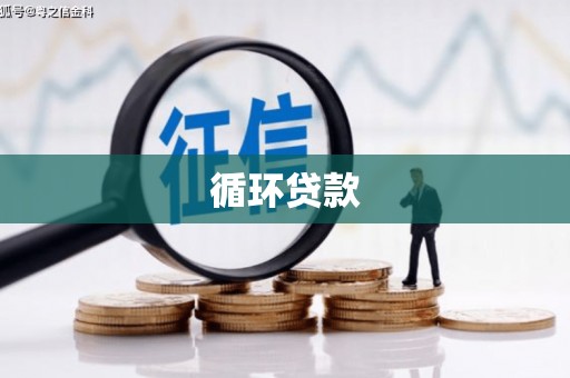 定远循环贷款