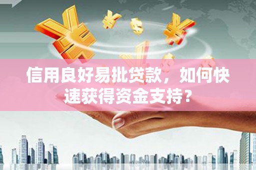 定远信用良好易批贷款，如何快速获得资金支持？