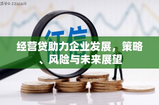 定远经营贷助力企业发展，策略、风险与未来展望