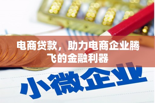 定远电商贷款，助力电商企业腾飞的金融利器