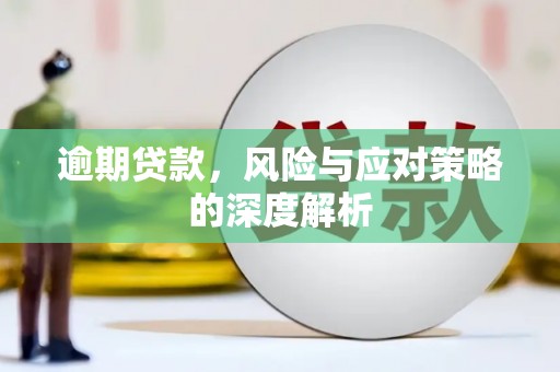定远逾期贷款，风险与应对策略的深度解析