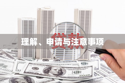 定远理解、申请与注意事项