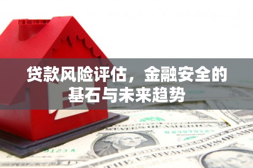定远贷款风险评估，金融安全的基石与未来趋势