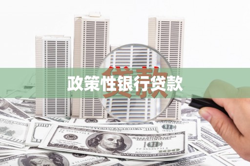 定远政策性银行贷款