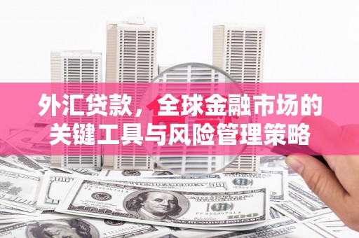 定远外汇贷款，全球金融市场的关键工具与风险管理策略
