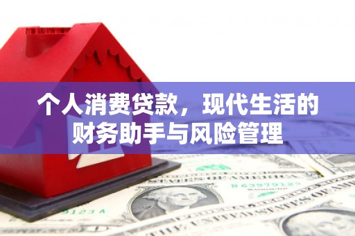 定远个人消费贷款，现代生活的财务助手与风险管理