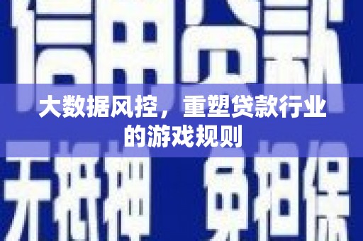 定远大数据风控，重塑贷款行业的游戏规则