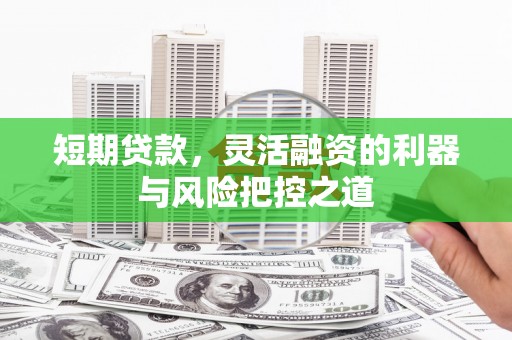 定远短期贷款，灵活融资的利器与风险把控之道