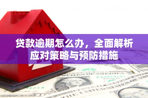 定远贷款逾期怎么办，全面解析应对策略与预防措施